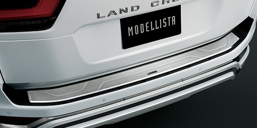 Rear Bumper Step Guard